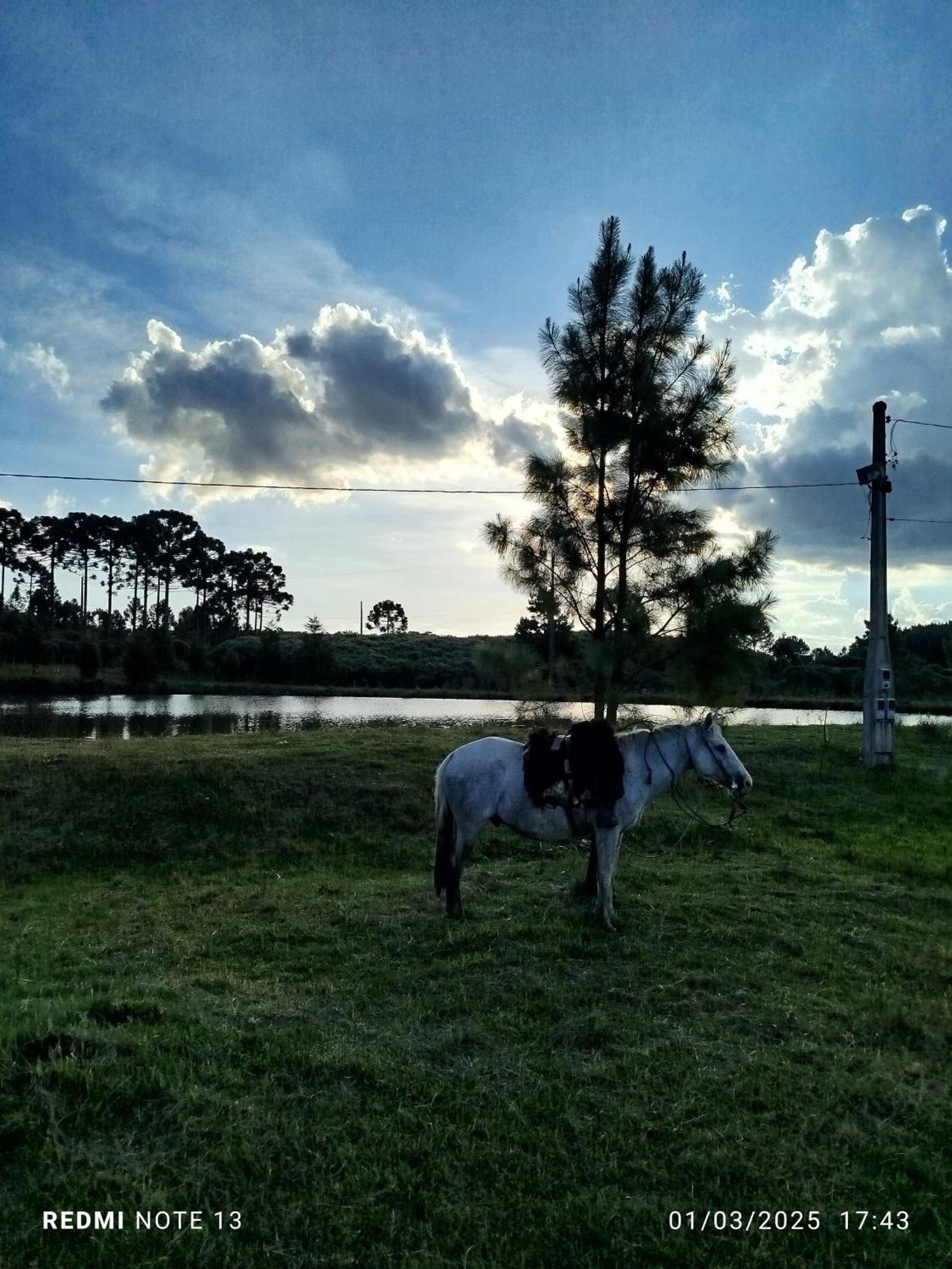 Encanto Das Araucarias Cambará Exteriér fotografie