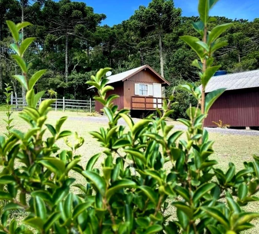 Encanto Das Araucarias Cambará Exteriér fotografie